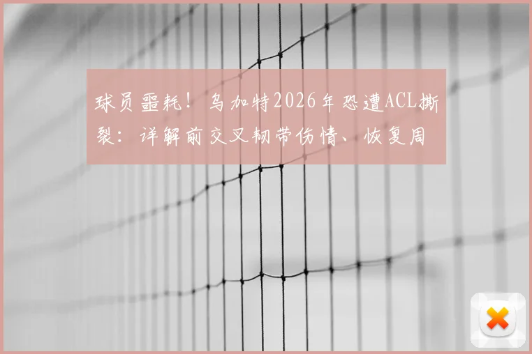 球员噩耗！乌加特2026年恐遭ACL撕裂：详解前交叉韧带伤情、恢复周期与康复训练全指南