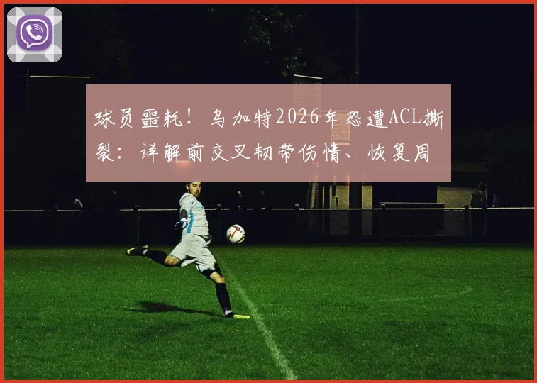 球员噩耗!乌加特2026年恐遭ACL撕裂:详解前交叉韧带伤情、恢复周期与康复训练全指南